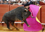 Ngày hội đấu bò ở Seville